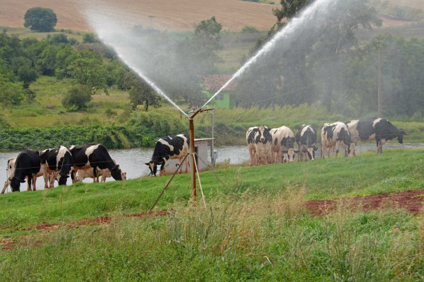 Projetos de irrigação receberão subvenção de até R$ 15 mil por produtor rural