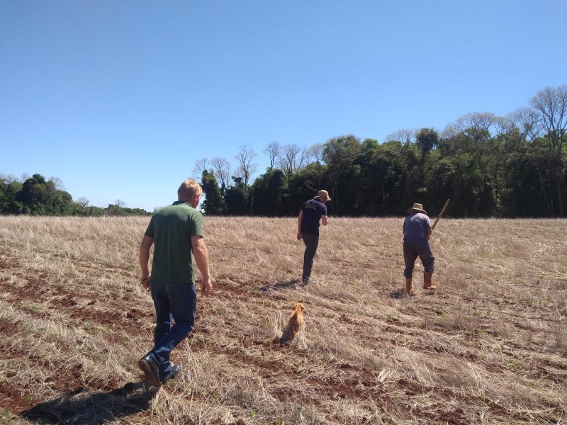 Fiscalização ocorreu na área agrícola de Ajuricaba