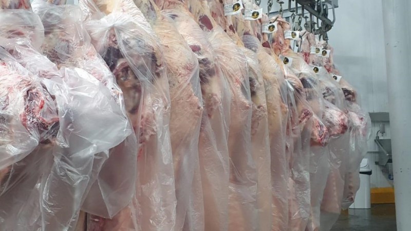 Frigorífico Madu processa 1.250 toneladas de carne por mês