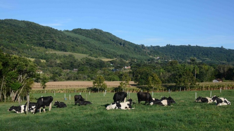 O Programa Sementes Forrageiras ir&aacute; beneficiar cerca de 13 mil agricultores familiares e pecuaristas familiares. 