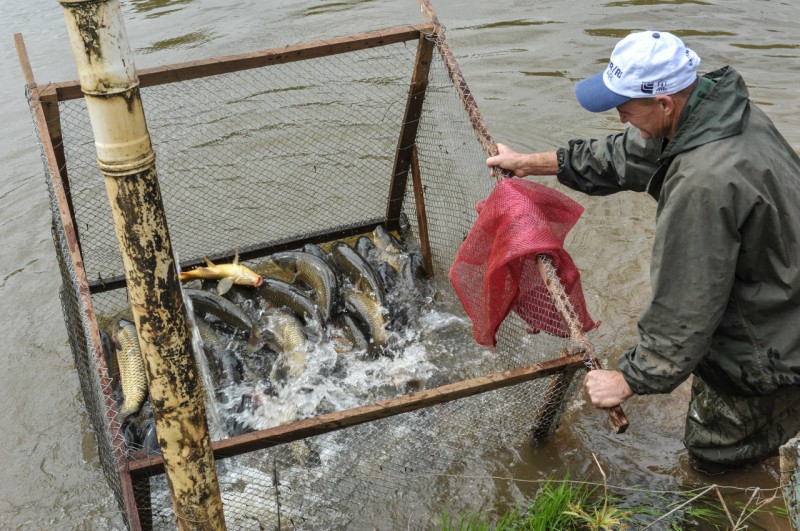 Pesca no Centro de Treinamento de Agricultores de Montenegro (Cetam), da Emater/RS-Ascar
