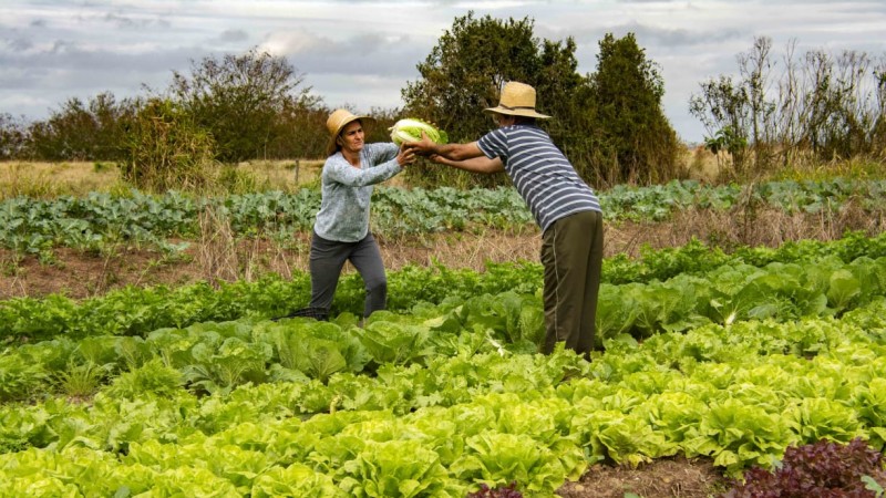 Conselhos municipais de agricultura têm prazo até 20 de maio para repassar à Emater a lista dos beneficiários