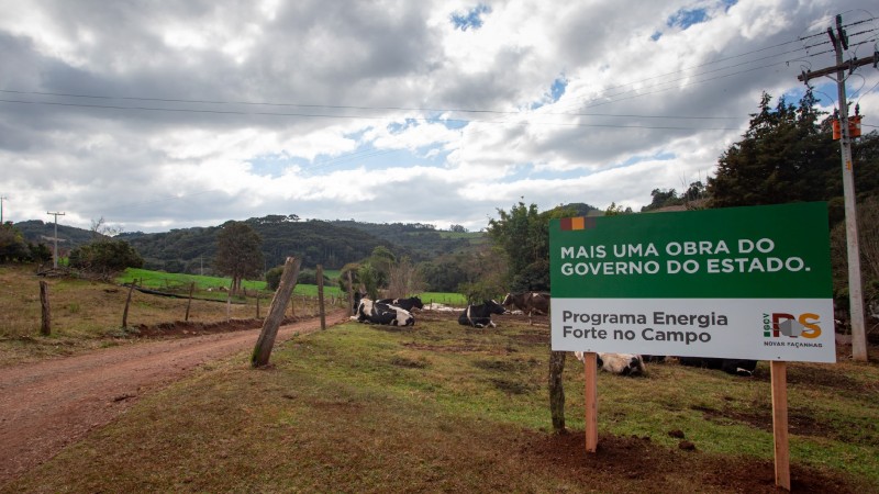 programa energia forte no campo