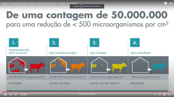 A biosseguridade é um novo conceito baseado na gestão da higiene