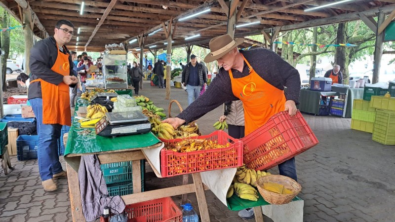 Nei Dimer (à direita) produz bananas em Três Cachoeiras
