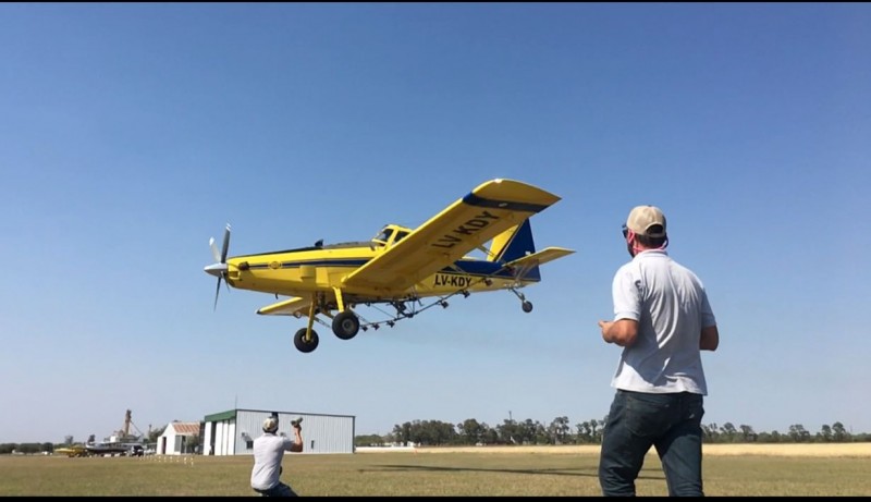 Controle aéreo dos gafanhotos é o mais utilizado na Argentina