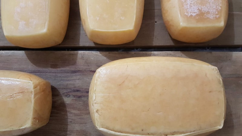 queijo artesanal serrano