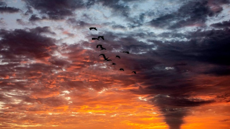 foto céu vermelho