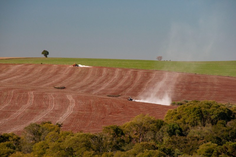 O calcário aumenta em 30% a produtividade da lavoura