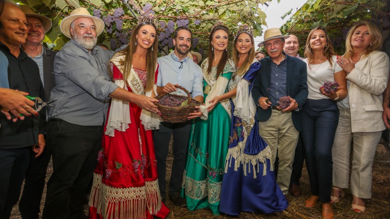 Leite Abertura da colheita da Uva 2023
