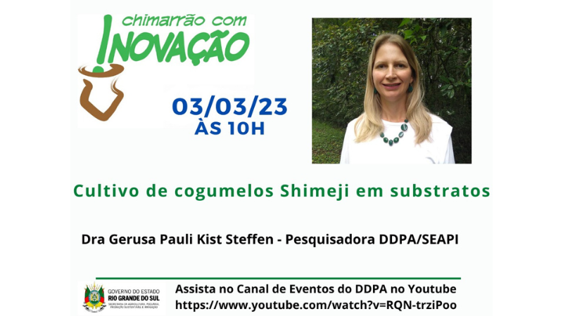 Cultivo de cogumelo Shimeji em substratos é tema do próximo Chimarrão com  Inovação - Secretaria da Agricultura, Pecuária, Produção Sustentável e  Irrigação