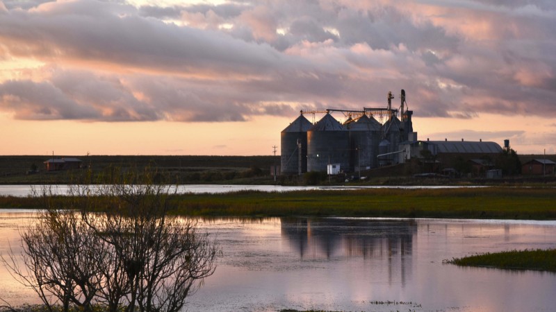 Foto Fernando Dias silos