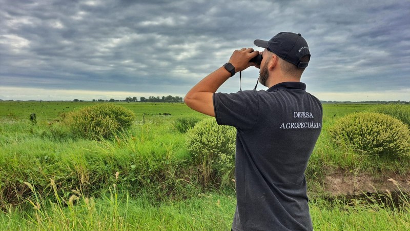 Fiscal estadual agropecuário observando aves silvestres com um binóculo na Lagoa dos Peixes