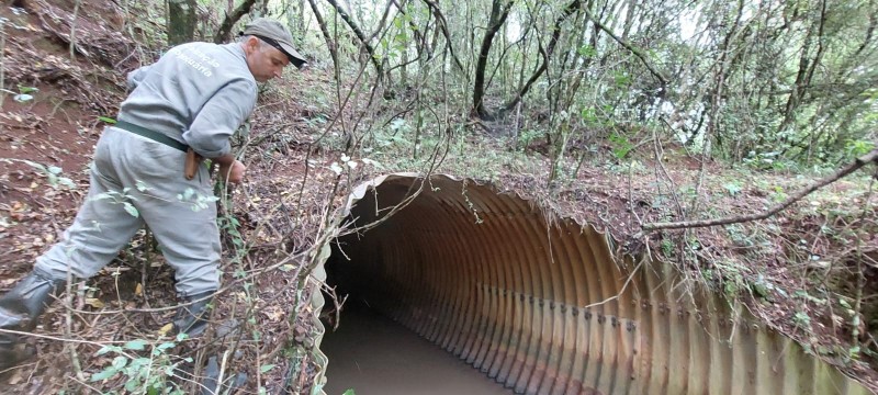 Os focos do morcego podem ser encontrados em furnas e bueiros, entre outros