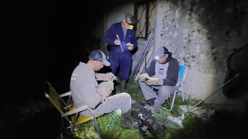 Trabalho de captura e tratamento dos morcegos hematófagos