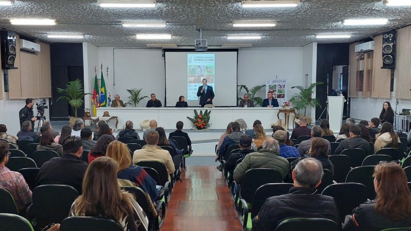 p&uacute;blico