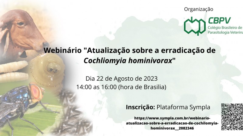 chamada webinário