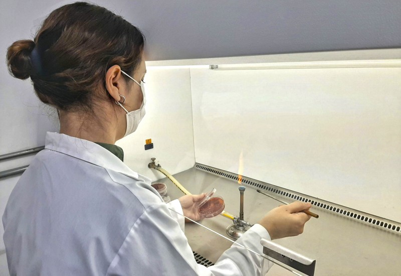 Lab Microbiologia
