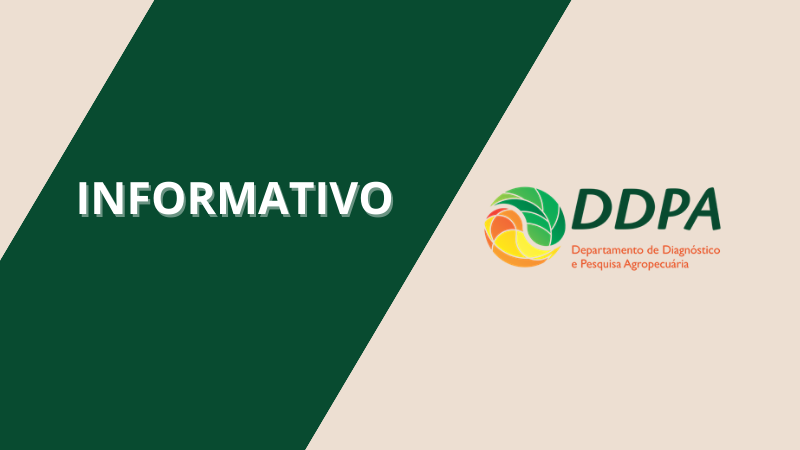 Informativo DDPA
