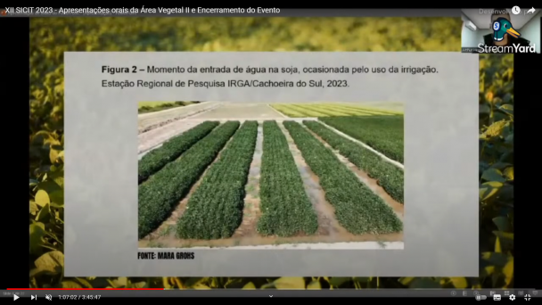 arroz soja