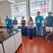 saúde das aves