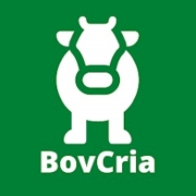BovCria