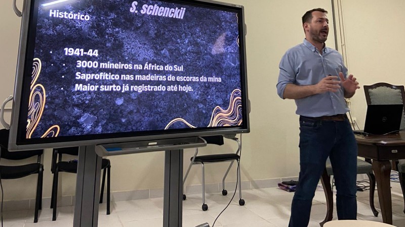 Treinamento IPVDF