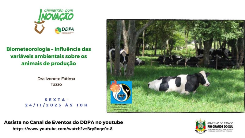chimas