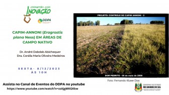 Apresentação ocorre na sexta-feira (8/12) às 10 horas, no canal de eventos do DDPA