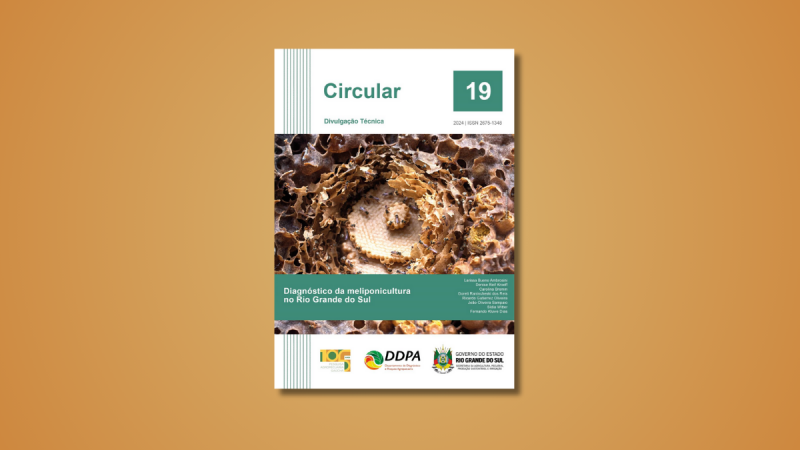 Circular 19