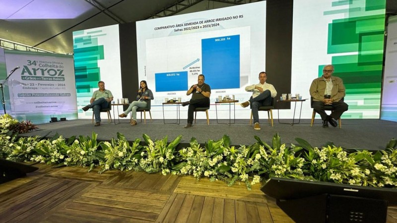 Coletiva do Irga 
