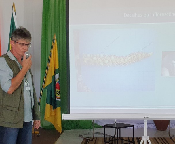 O pesquisador Adilson Tonietto