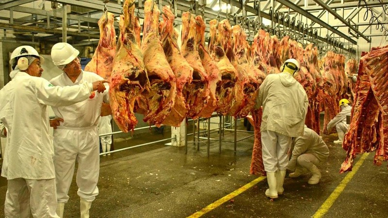 Frigorífico com fiscais em roupas de proteção brancas, com carnes penduradas