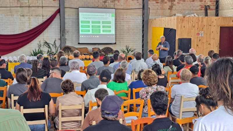 lançamento livro melato