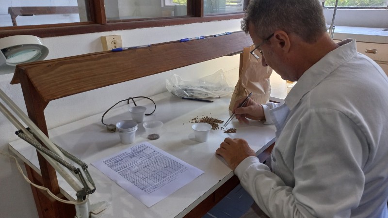Recurso será utilizado em melhorias estruturais do Centro Estadual de Diagnóstico e Pesquisa Florestal Foto Ceflor Seapi