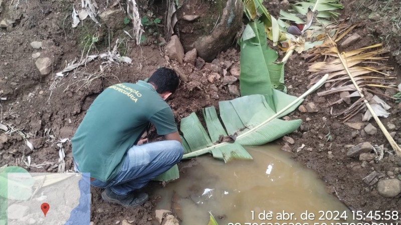 Ações de controle populacional dos mosquitos-pólvora em bananais
