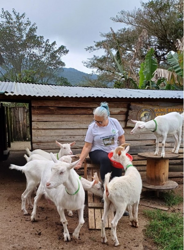 Criadora de Santa Catarina da raça caprina Saanem participa pela primeira vez da Expointer