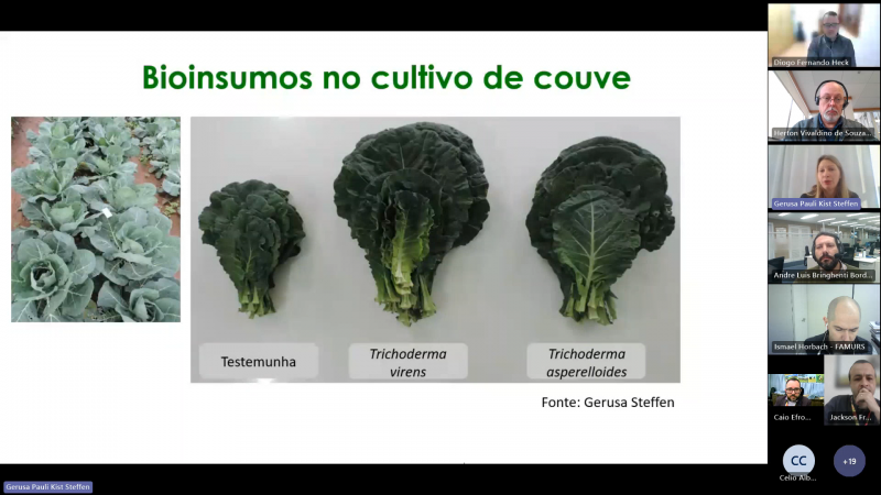 Bioinsumos proporcionam ganhos de produtividade em diversos tipos de cultura