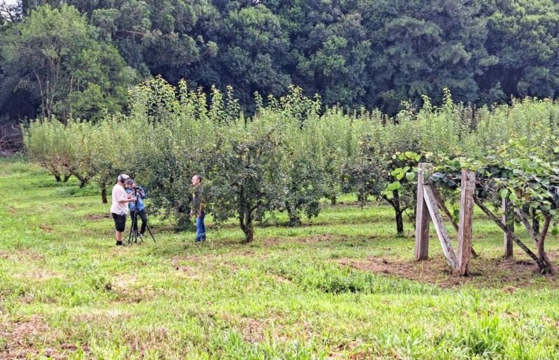105 Veranópolis 03site