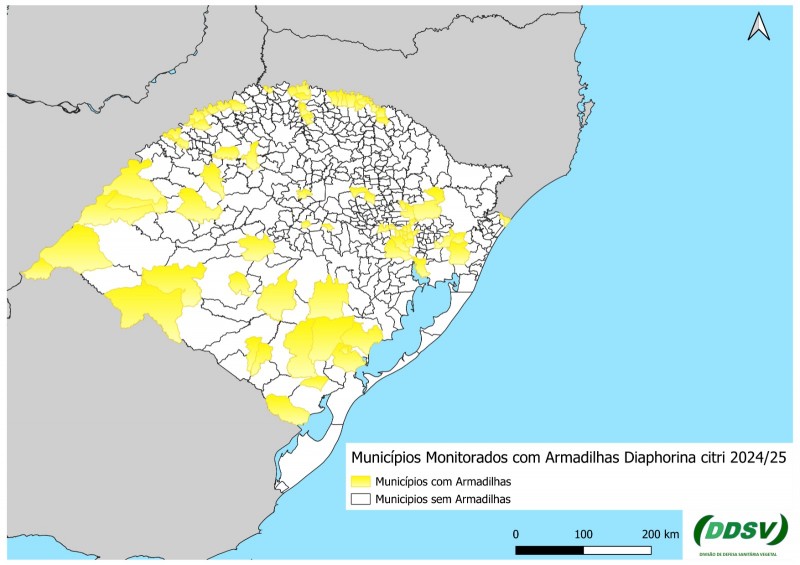 Municípios monitorados com armadilhas para a safra 2024/2025