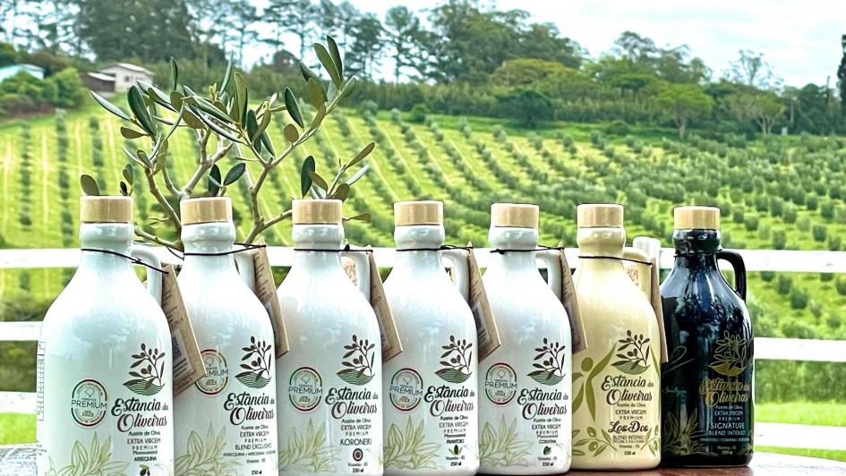 estâncias das oliveiras sict