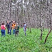 Pesquisadores do DDPA/Seapi visitam propriedade com cultivo de acácia em Triunfo