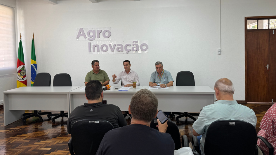 O RS é o maior produtor nacional de oliveiras e azeites
