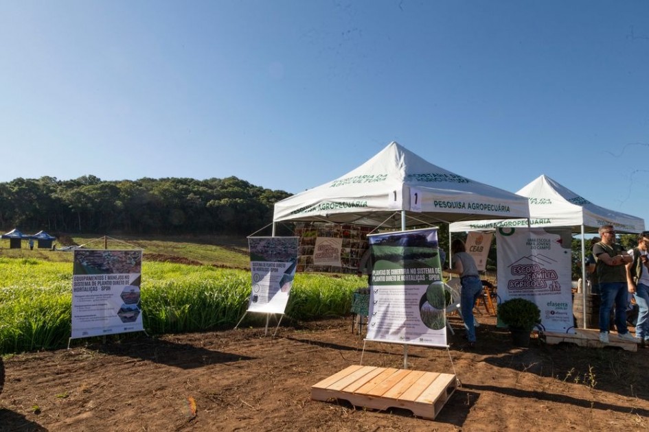 Departamento de Diagnóstico e Pesquisa Agropecuária (DDPA) participou do 7º Horti Serra, em Fazenda Souza, com uma estação