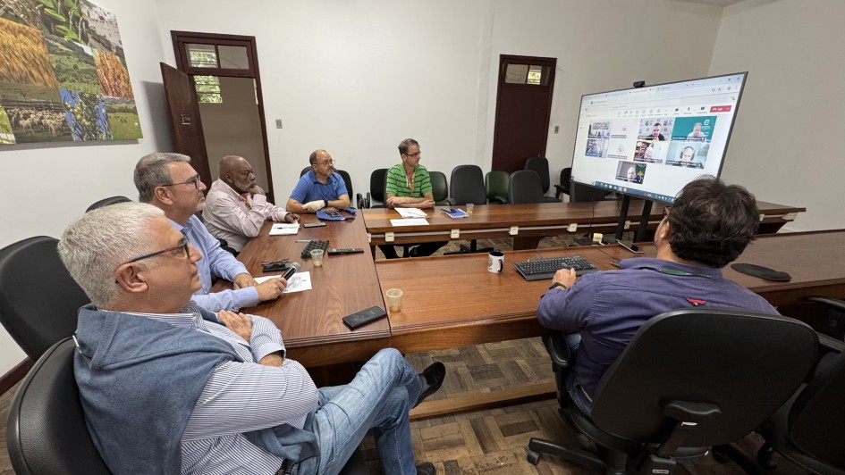 reunião milho