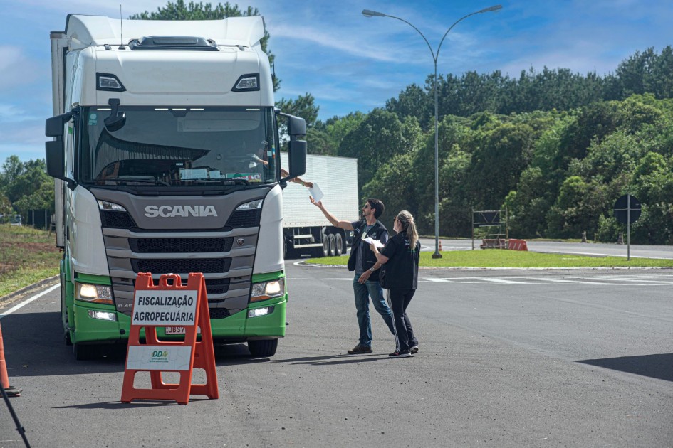 fiscalização DDV cargas de plantas