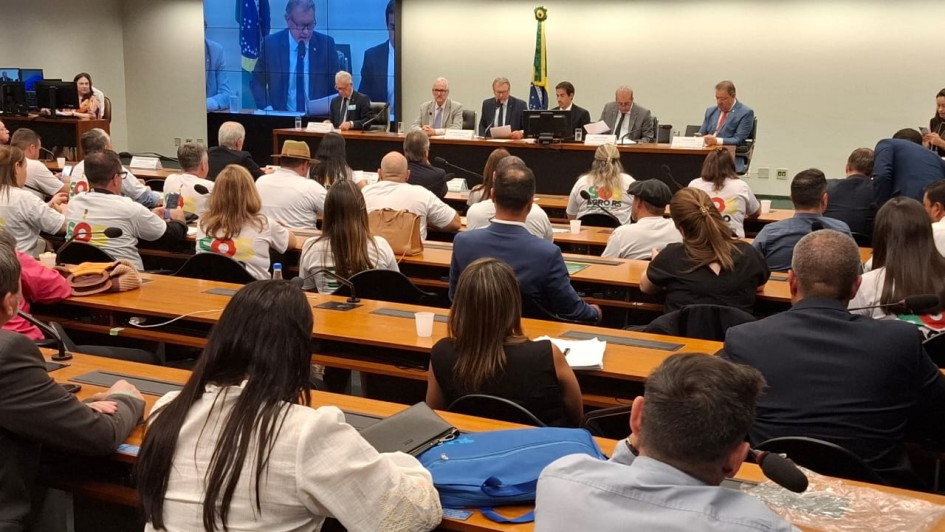 Audiencia Brasilia 22abr