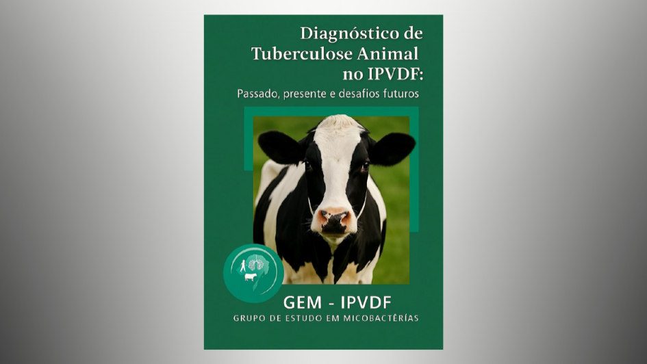 Capa folheto tuberculose