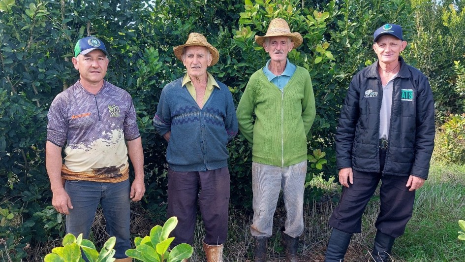 Da esquerda para a direita: Marcos, Waldemar, Vicente e Amarildo Tochetto, família de produtores de erva-mate
