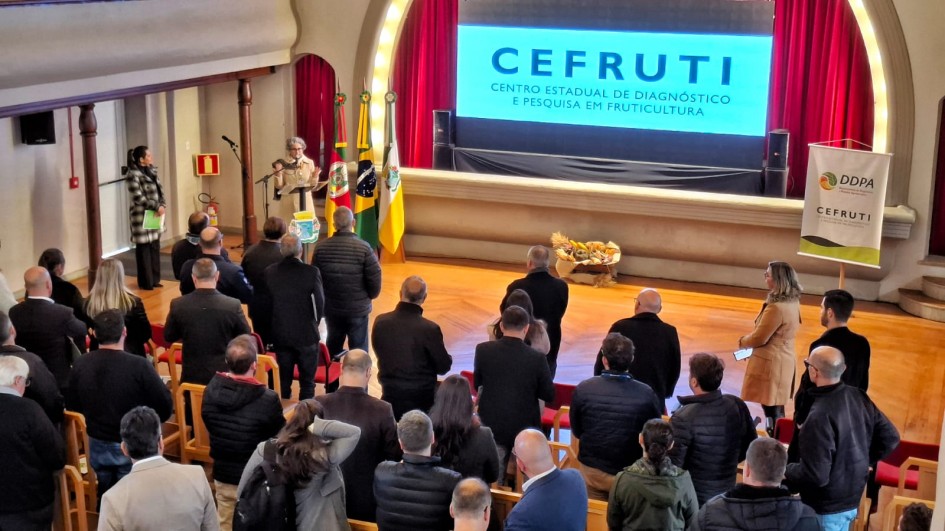 A chefe da Divisão de Pesquisa do DDPA, Maria Helena Fermino, no encontro de hoje em Veranópolis